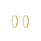 Ariana Vermeil Earrings