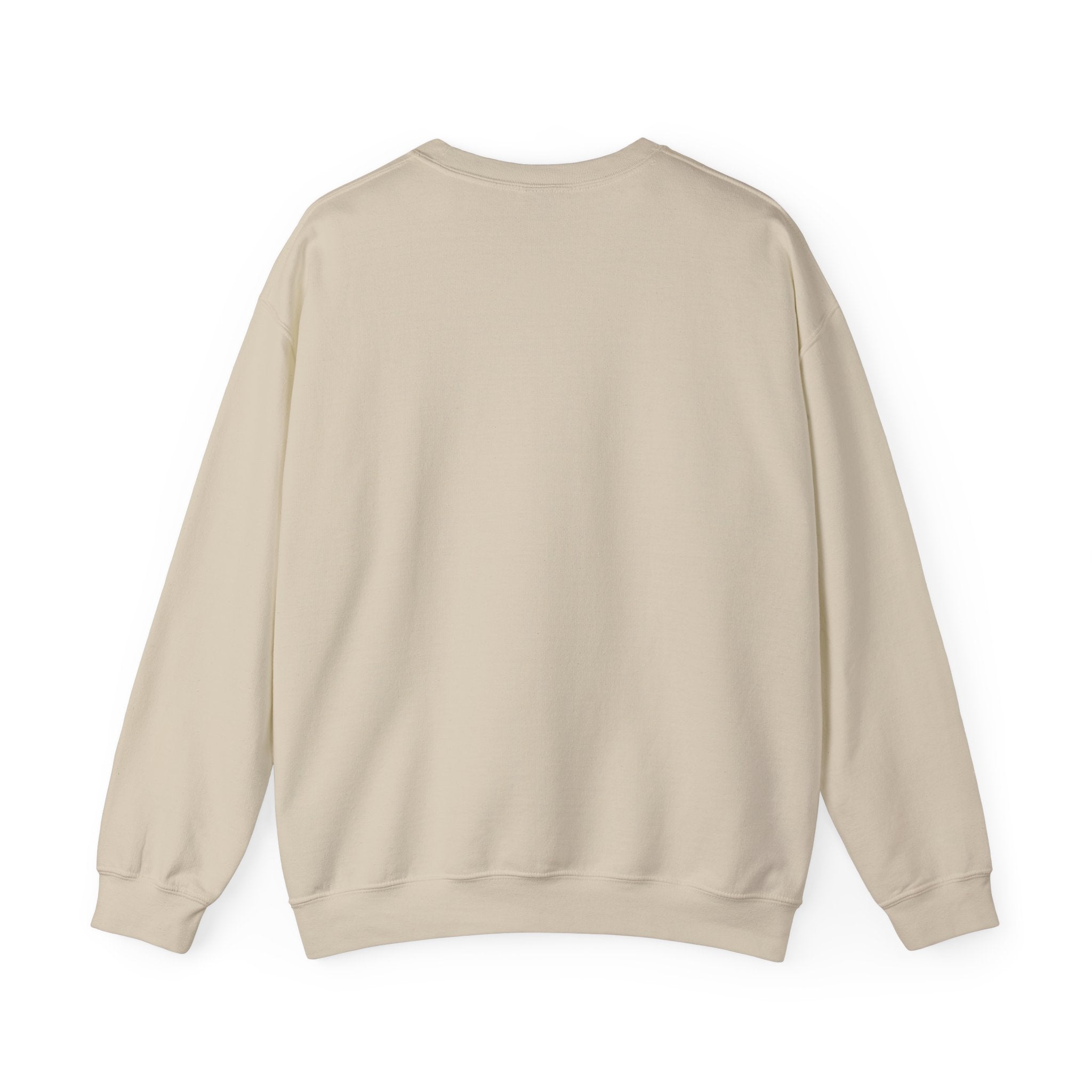 Iced Coffee Crewneck Sweatshirt — "Pretty Girls Drink Iced Coffee" Cozy Graphic Pullover