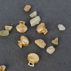 Mini Claw Clip Set of 4 - Gold Seashell